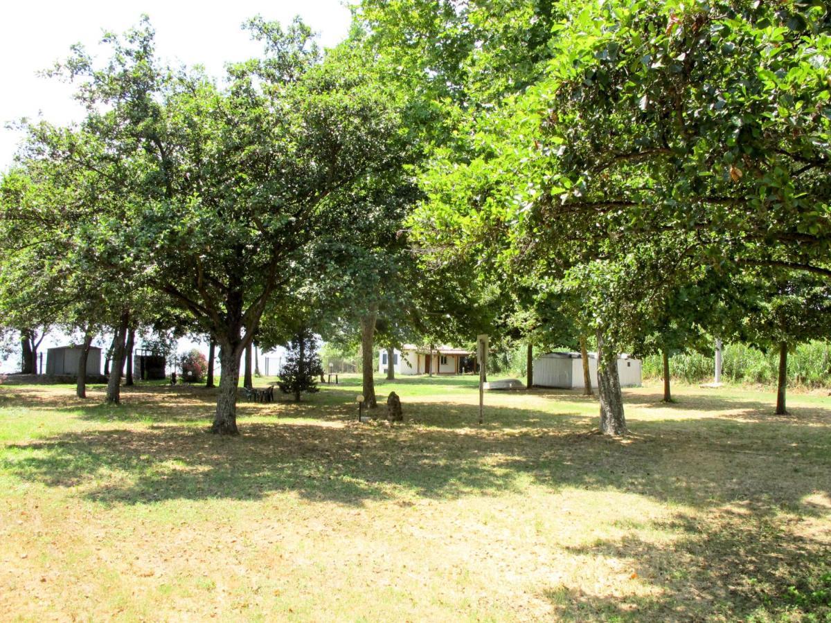 Holiday Home Il Podere Del Lago By Interhome Bolsena Ngoại thất bức ảnh